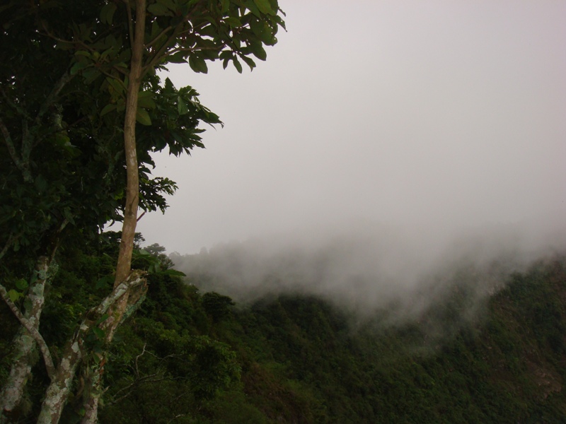 Es Dios dibujando Así como el viento deshace la neblina