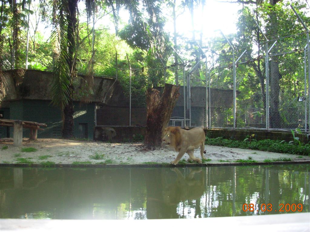 [DSCN1783+(Large).JPG]