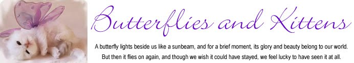 Butterflies and Kittens