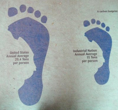Chimpanzee Footprint