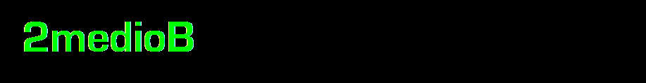 2medioB 2010