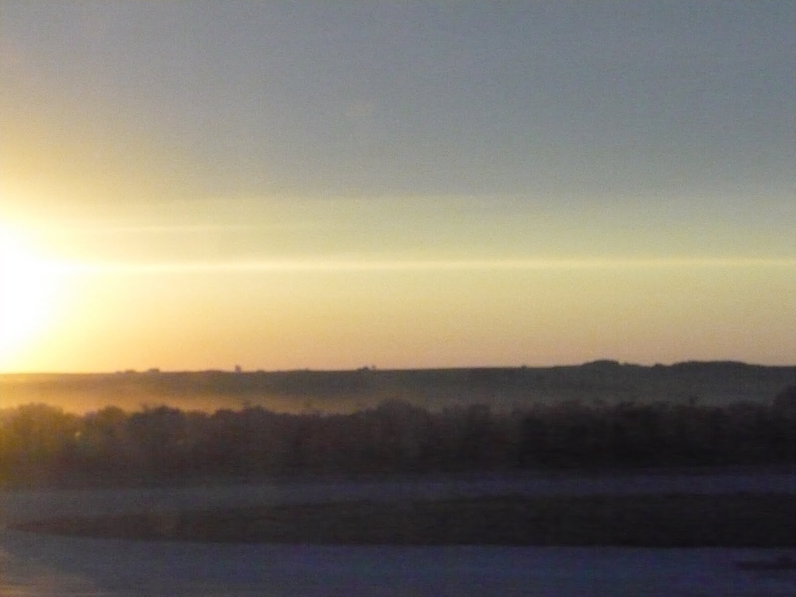 My Homemade Iowa Life July 2010