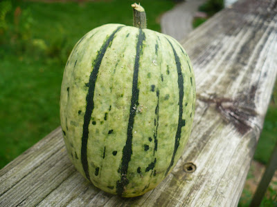 pumpkin patch in ames iowa