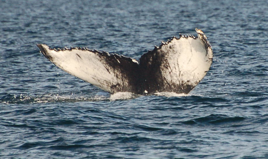 [DSC_5183+(814).JPG]