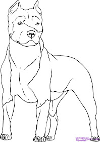 Dog Coloring Pages Pitbull Coloring Page