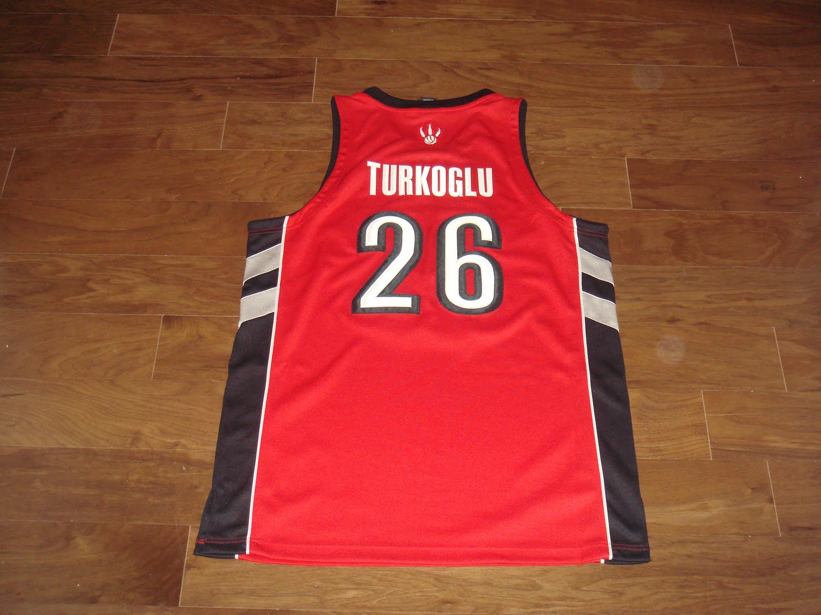 [Toronto+Raptors+Hedo_ön.JPG]