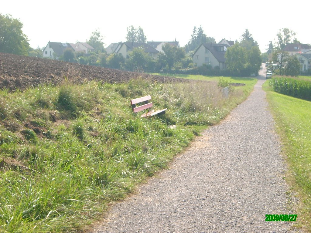 [IMG_3771.JPG]