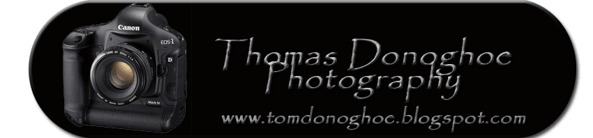 Tom D's Photography