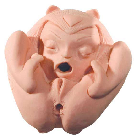 flesh light fri o flesh light fri o