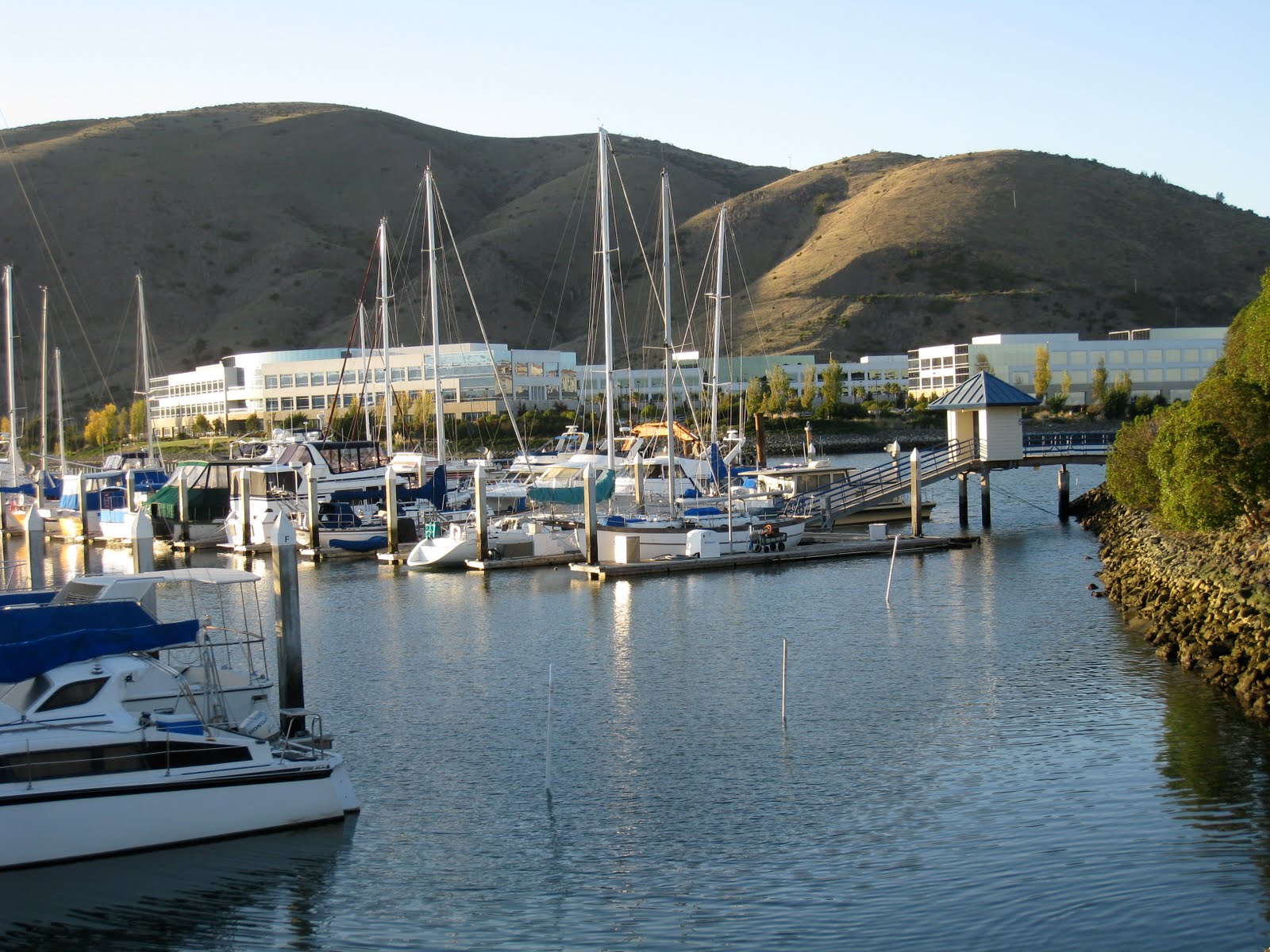 Walking San Francisco Bay Oyster Pt. to Oyster Cove Marina Nov. 18, '09