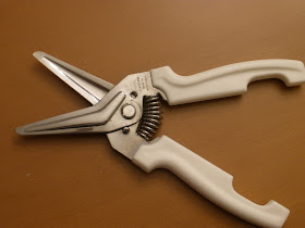 Everything S Coming Up Daisies Wfmw Kitchen Scissors Sticking