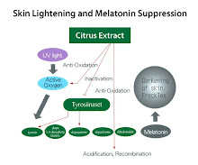 Skin Lightening and Melatonin Suppresion