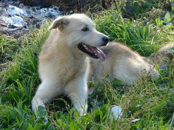 [Simba_StTirso2.jpg]