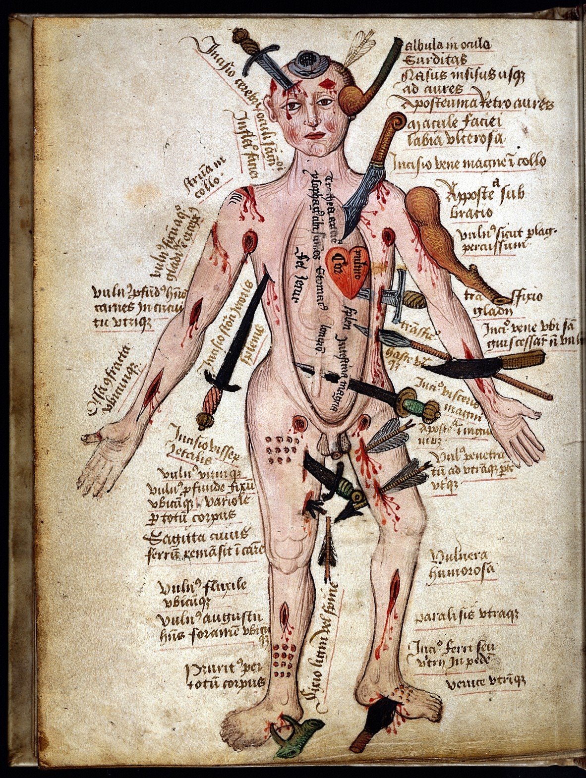 Medecine au moyen age: Wellcome+MS290+-+wound+man