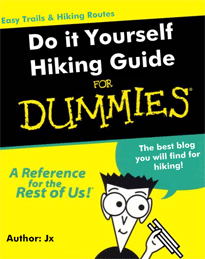 online guide dummies online guide dummies
