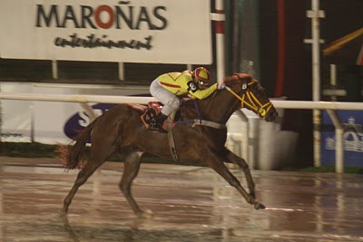 Madres destacadas en el Nuevo Maroñas (2003-2012) Godfree+Ray,+Criterium+10