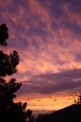 click image to enlarge