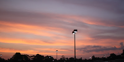click image to enlarge