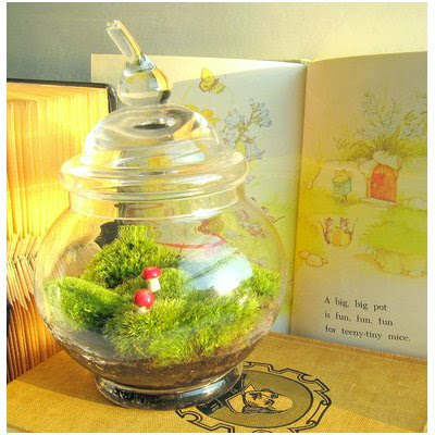 moss-terrarium-etsy