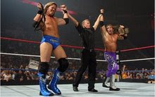 WWE tag team champion