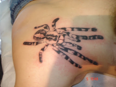 Tatoo aranha