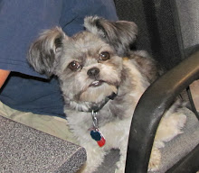 This is the growl of the family!