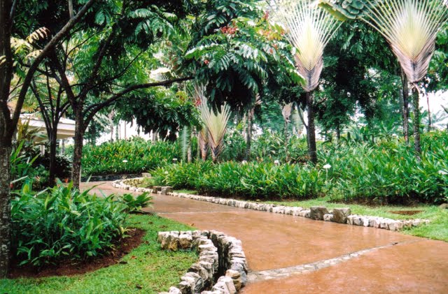 Photos At Taman Botani Bike Rental Taman Botani Putrajaya