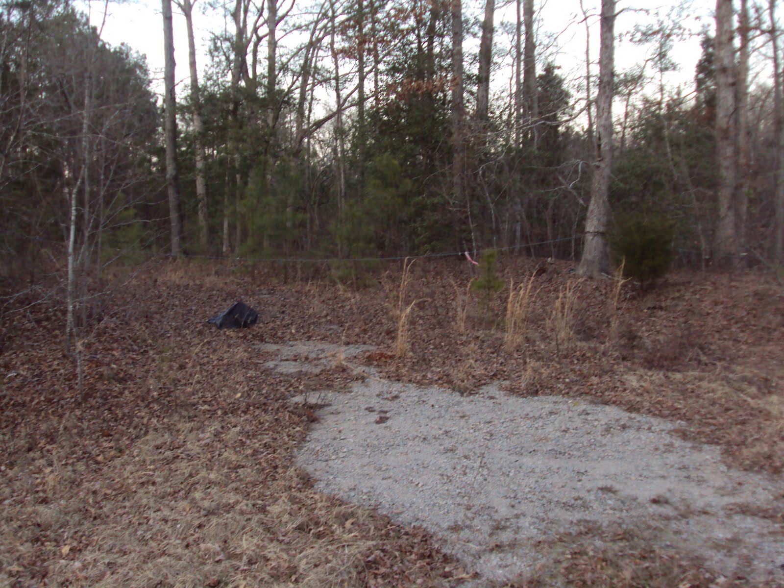 Jason Lexington SC Lake Murray SC Blog Lexington Sc Lots and Land for