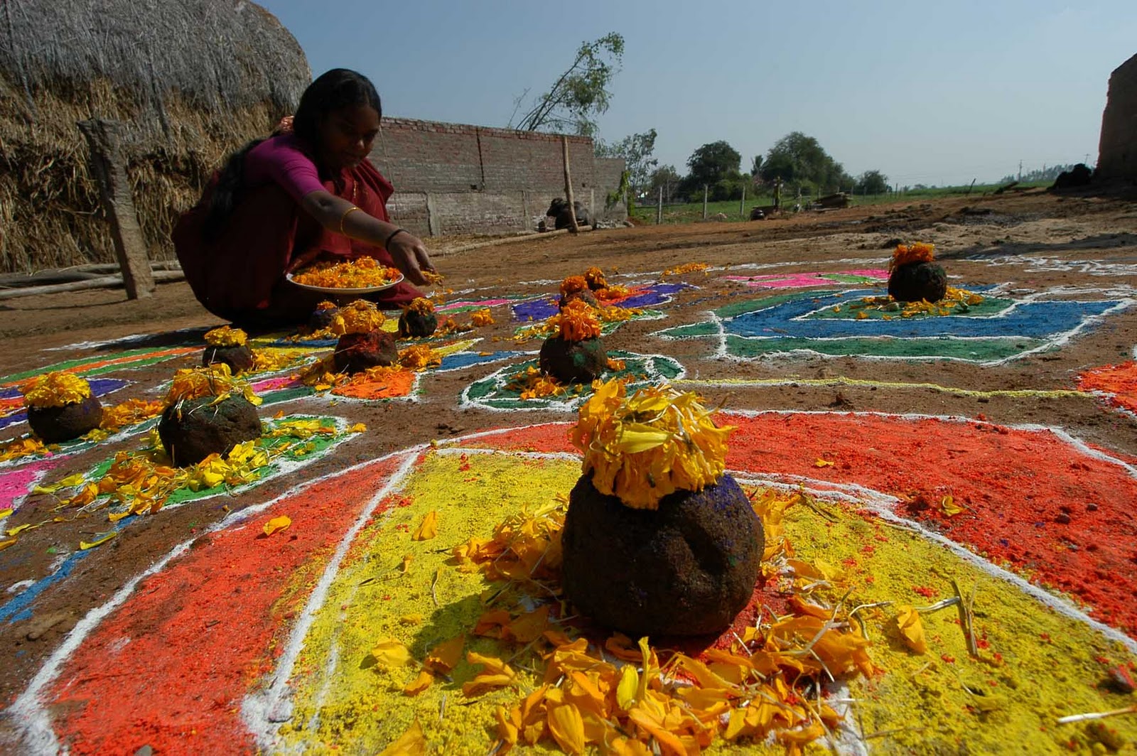sankranti festival essay in telugu sankranti festival essay in telugu