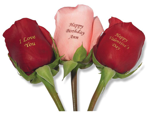 valentines day flowers images