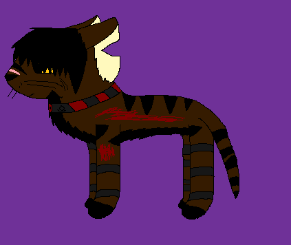 [Tyler.png]