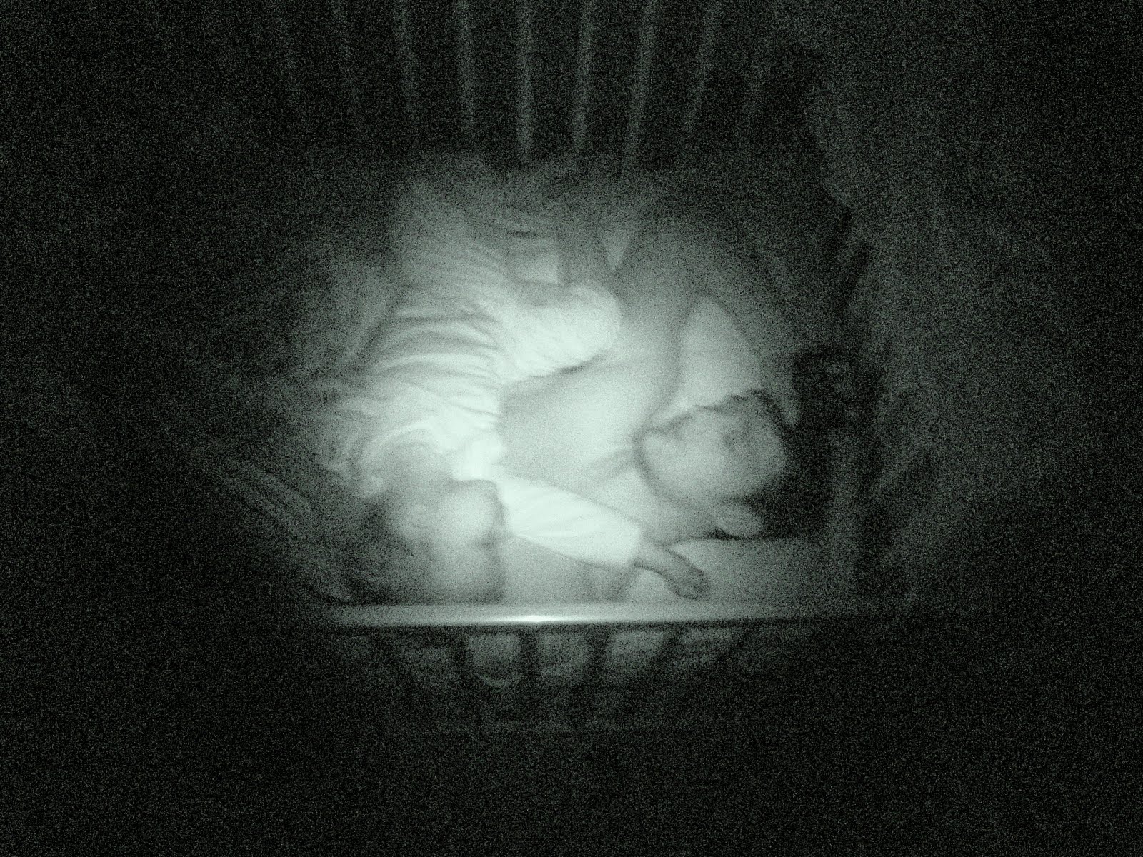 [DSC08092.JPG]