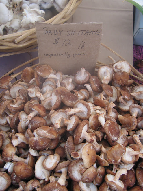 Baby Shitake Mushrooms