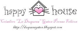 El Hogar de los "GATOS PERSAS FELICES"