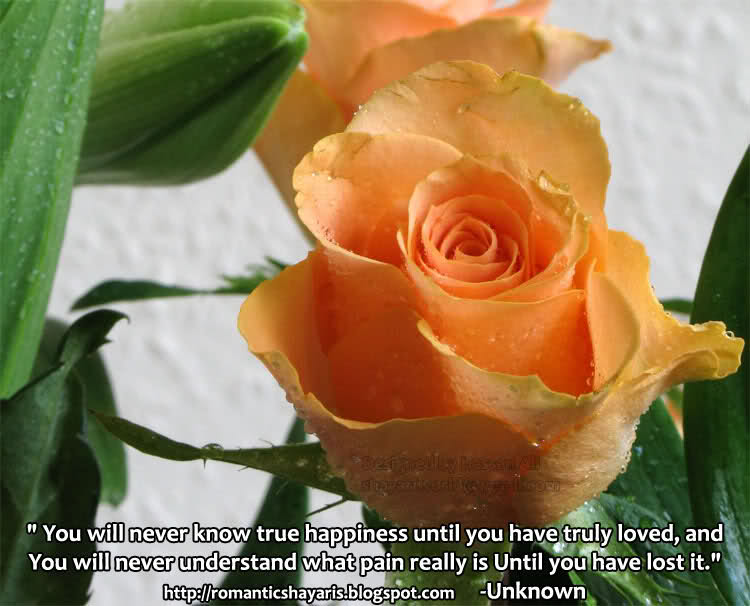 love poems for girl you love. love poems to girl. love poems for girl you love.