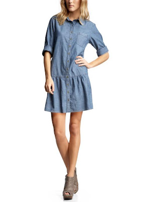Gap Chambray