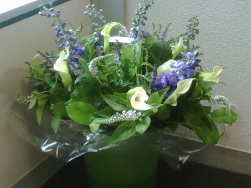 [IMG00072-20090827-1447.JPG]