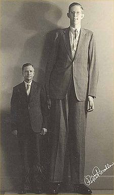World's tallest man stands at a towering 8ft 11ins