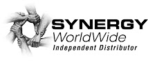 Synergy WorldWide