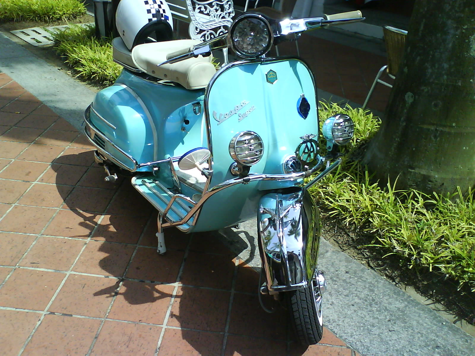 [DSC00651.JPG]