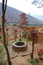 POZO DE LA PERRICHOLI