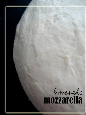 Making Mozzarella at Home