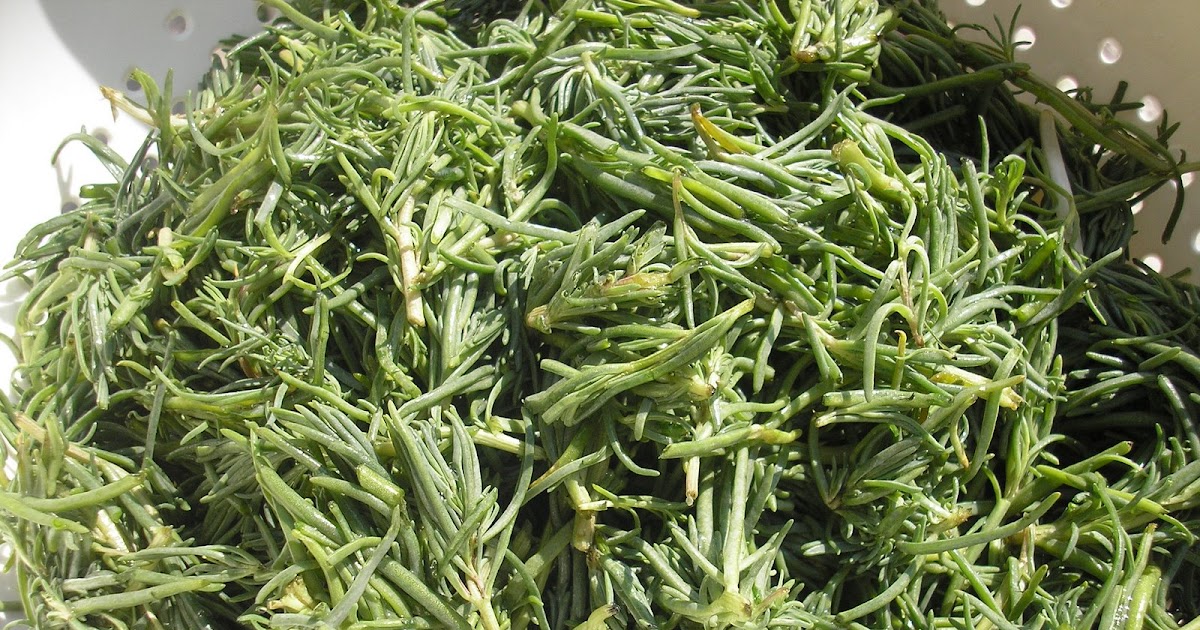 Flavors of the Sun Romeritos A Mexican Green