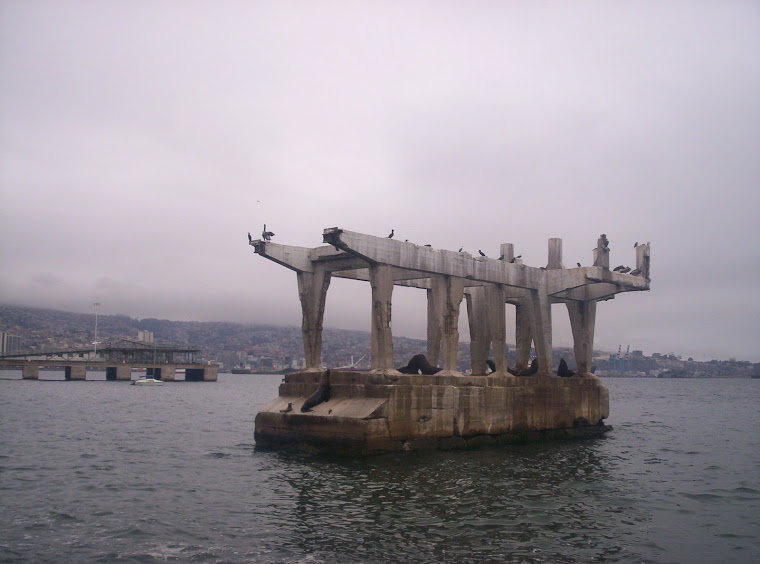 MUELLE BARON lobos de mar