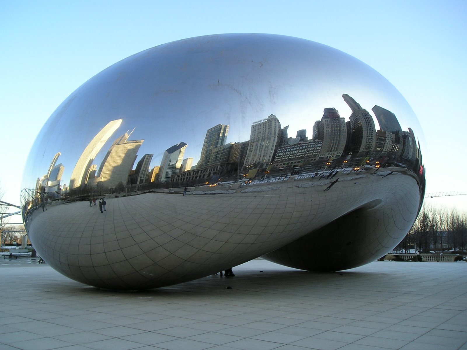 [bean.JPG]