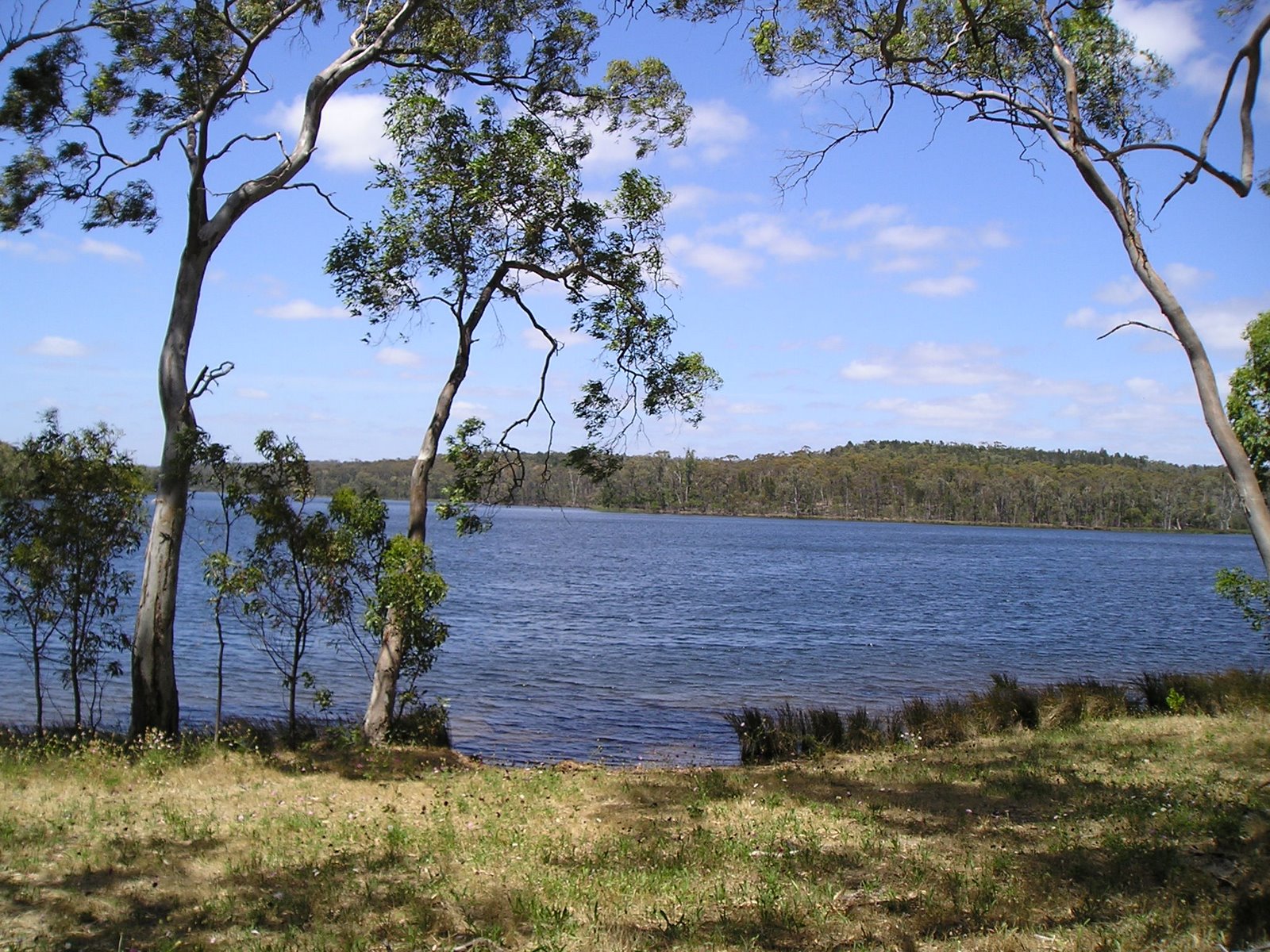 [2+lake.JPG]
