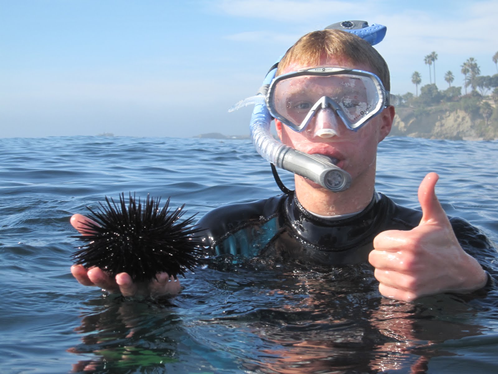 Happy Trails Snorkeling at Laguna Beach