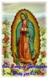 Our Lady of Guadalupe