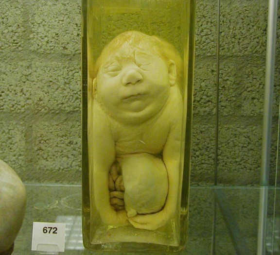 [museu29.jpg]