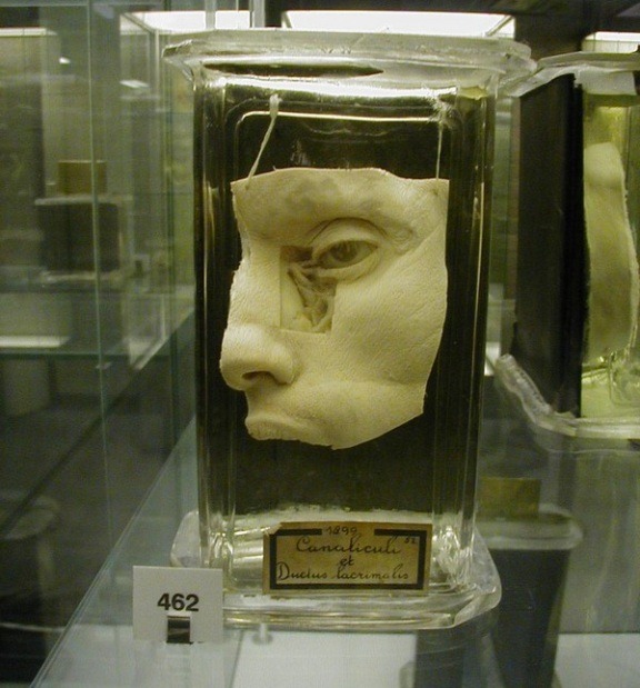 [museu27.jpg]